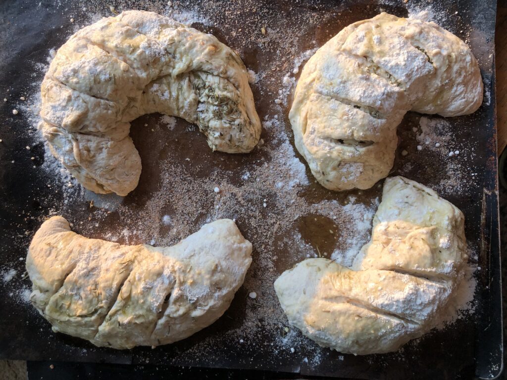 four loaves of grub-shaped bread dough