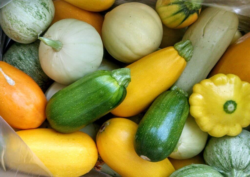 box full of small summer squashes
