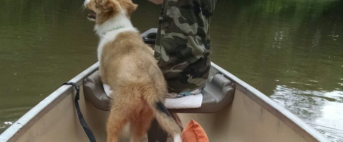 Canoeing the Big Blue, by the numbers, with Mack and Scout