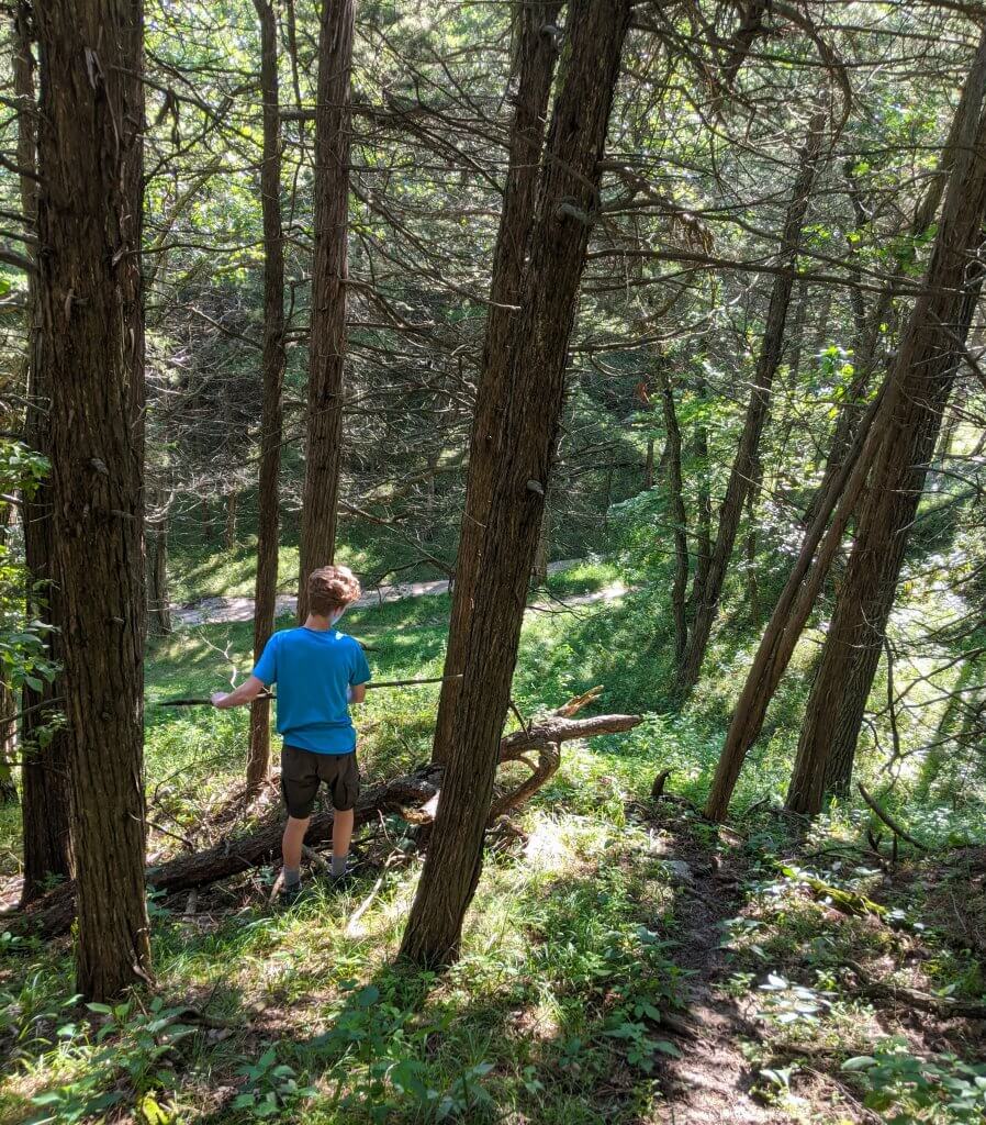 boy in the woods