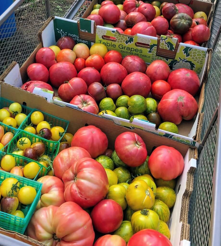 wagon load of tomatoes in many colors and sizes