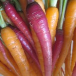 To Thin or Not to Thin Your Garden Veg . . .That is the Question