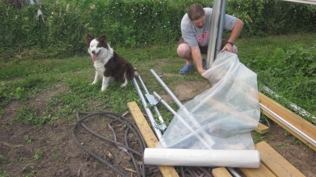 Hoophouse Phase 4