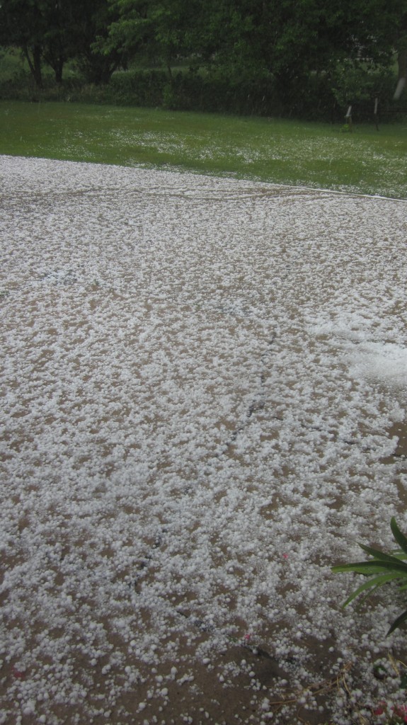 Here's our driveway right after the hail stopped.