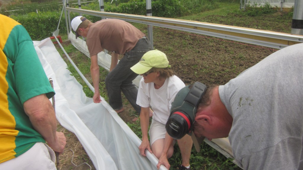 Hoophouse Phase 4