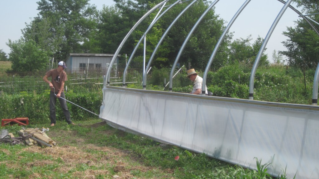 Hoophouse Phase 4