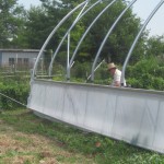 Building a hoophouse: a light at the end of the (high) tunnel