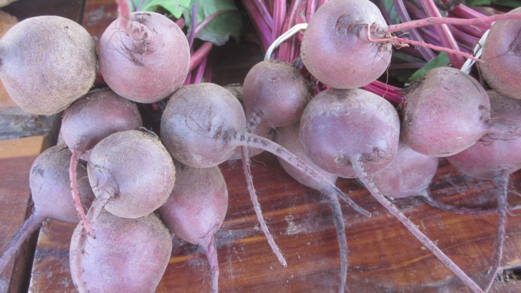 These gorgeous beets were for sale at our market.
