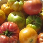 FREE heirloom tomato seeds collection giveaway!