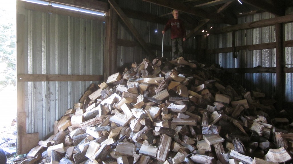 Little Mack shows off his climbing skills, on our pile of firewood.