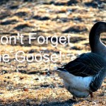 Don’t Forget the Goose!