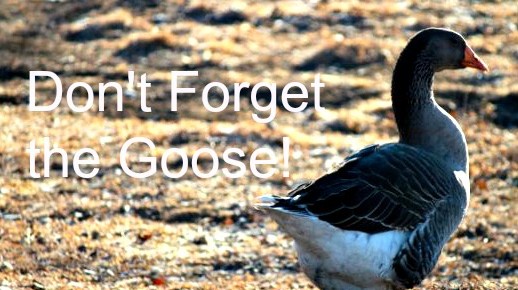 Don’t Forget the Goose!