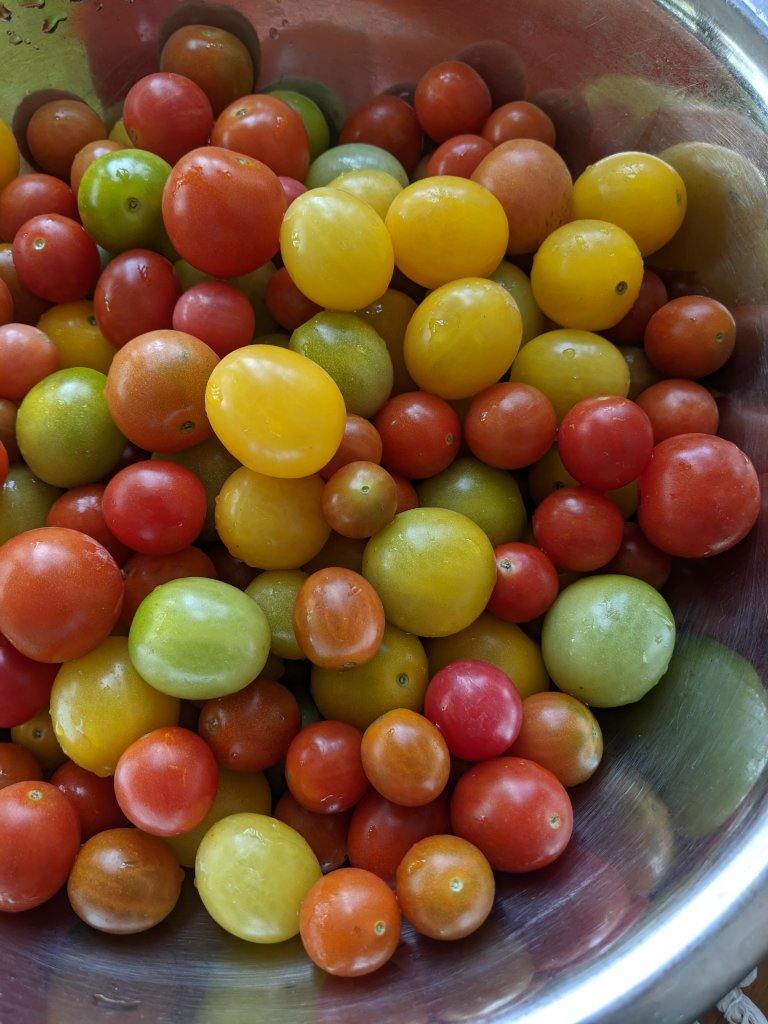 cherry tomatoes, close-up