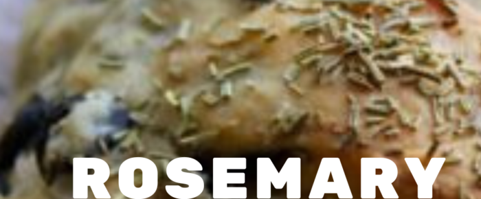 Rosemary Olive Artisan Bread recipe