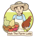 Grow your own garlic = Ask the Farm Lady & flash giveaway!