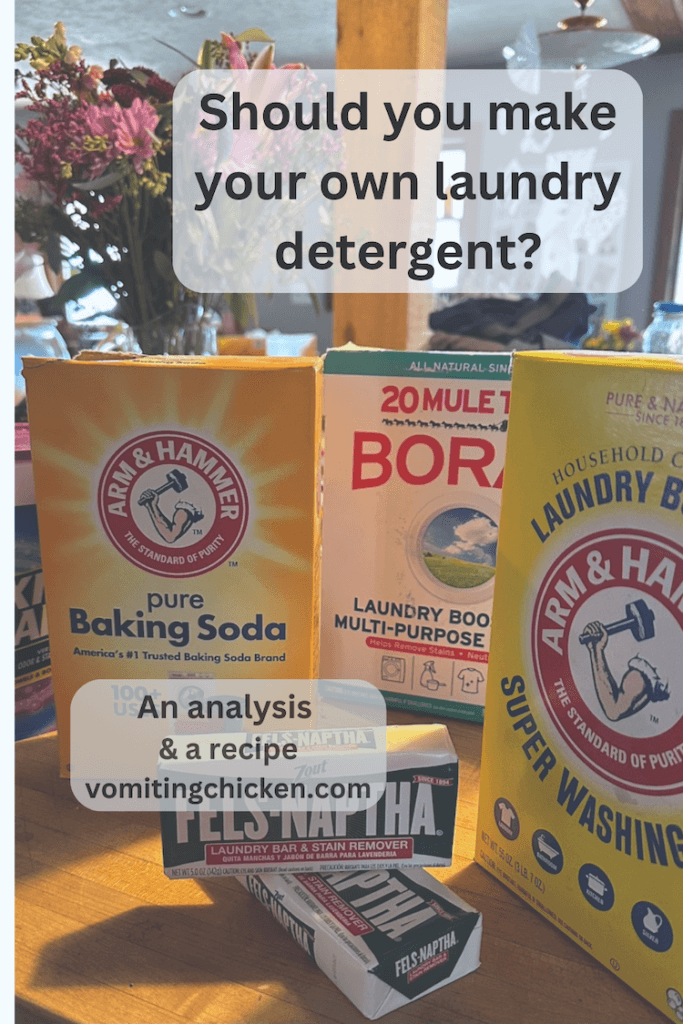 Should you make your own laundry detergent(1)