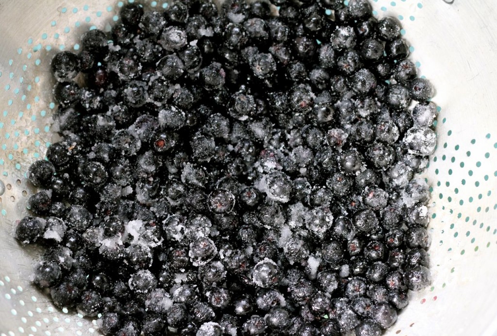 aronia1