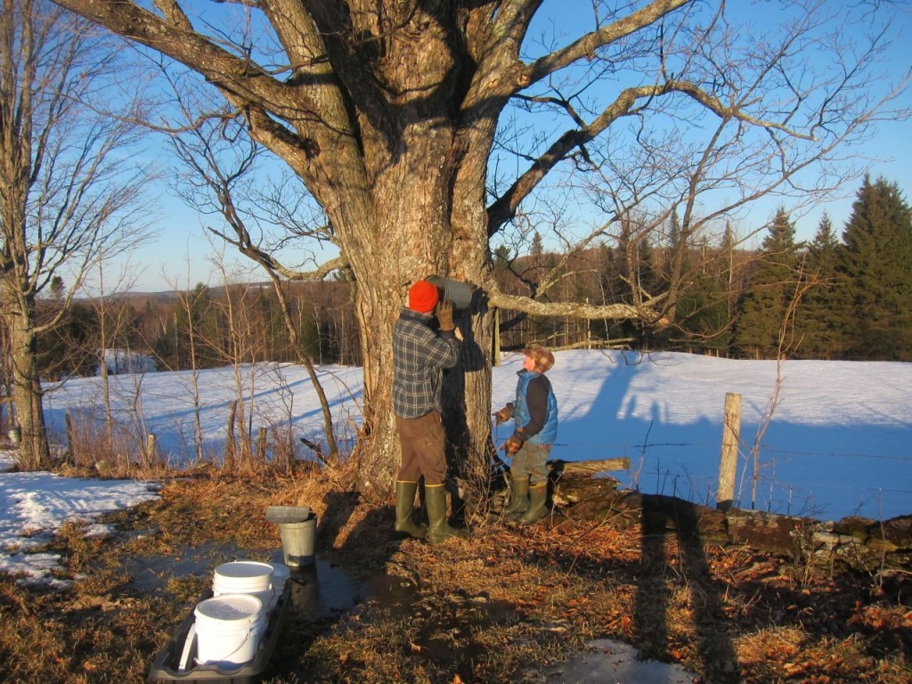 The Nourishing Homestead, by Ben Hewitt: fun comes in threes! 