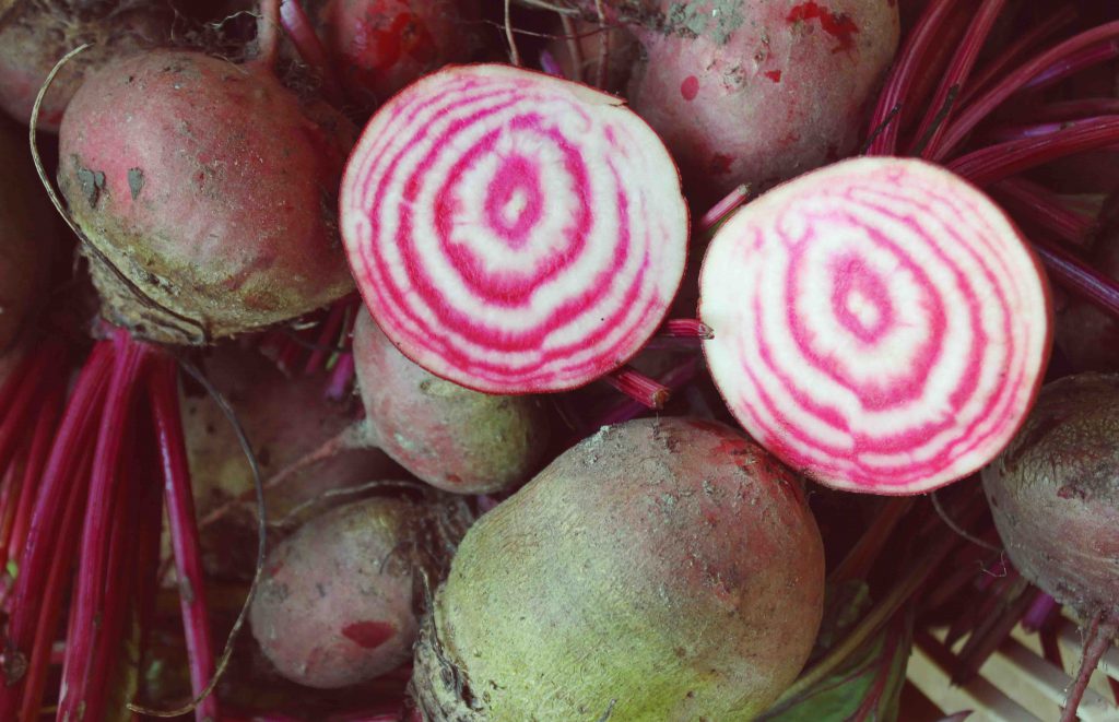 chioggia-beets2016