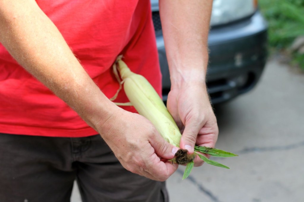 how to shuck