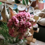 How to make pretty displays for the holidays out of dead stuff . . .
