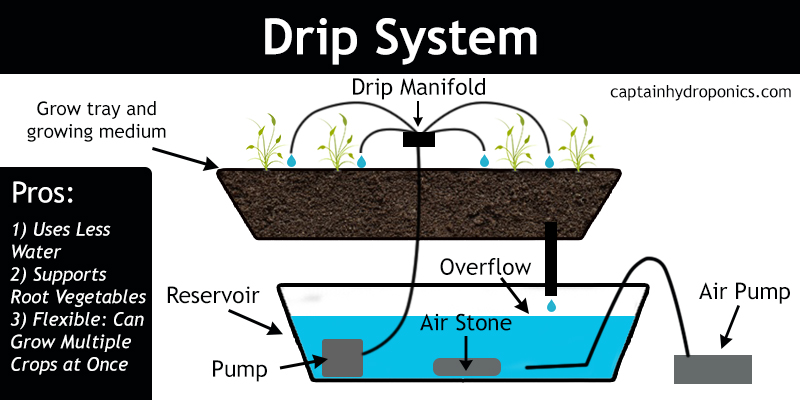 Infographic of deep water culture