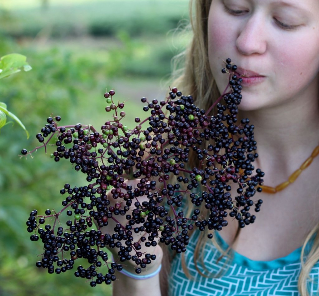 girl tasting elderberries