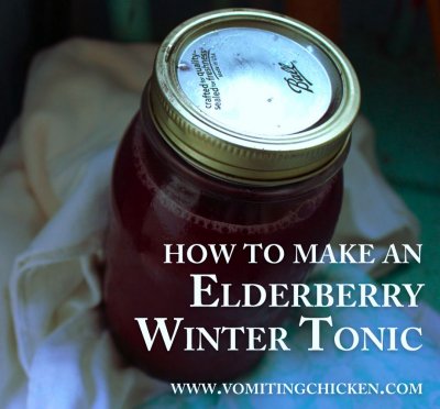 elderberry winter tonic jar