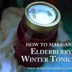 How to make an Elderberry Winter Tonic: your virus-fighting tool!