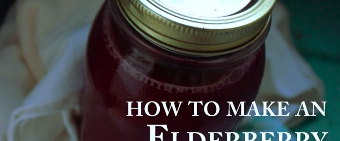 How to make an Elderberry Winter Tonic: your virus-fighting tool!