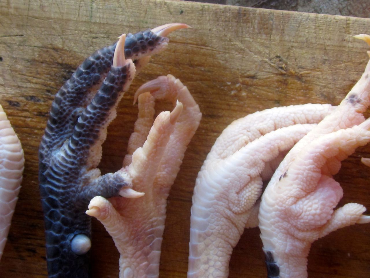 How to make excellent stock out of chicken feet!