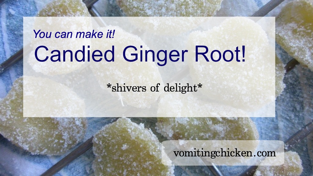 candied ginger recipe