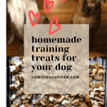 crunchy homemade training treats for dogs: cheap and simple!