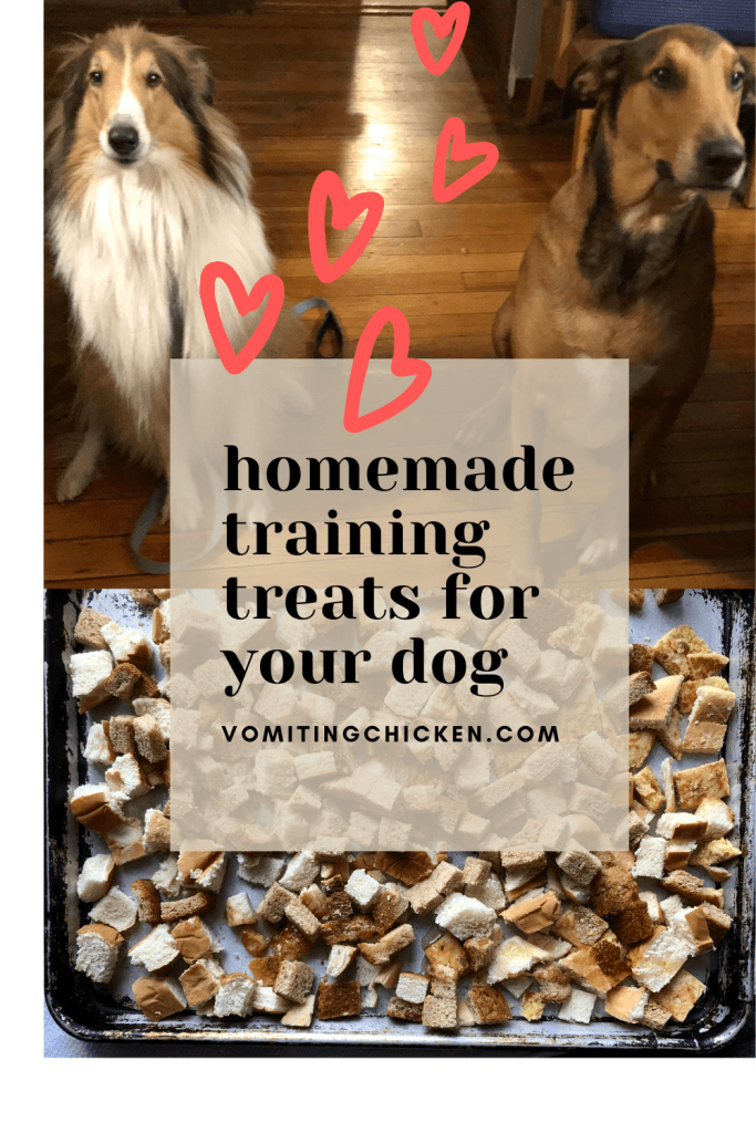 two dogs sitting at attention on a polished wooden floor, and a tray of homemade training treats