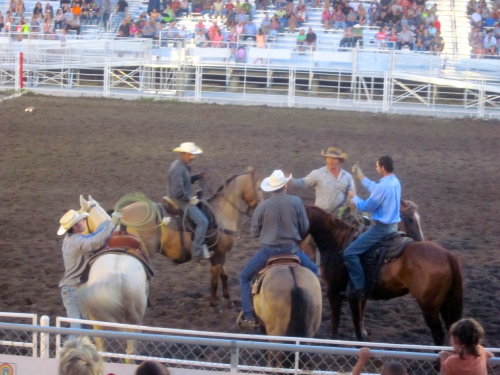 horses:rodeo