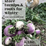 Best Way to Store Turnips & other Roots & THE Tastiest Roasted Roots Recipe!