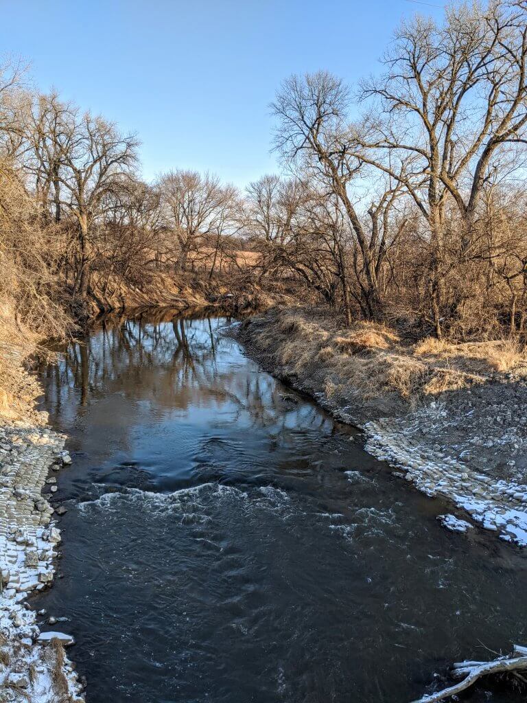 creek land with trees, in winter