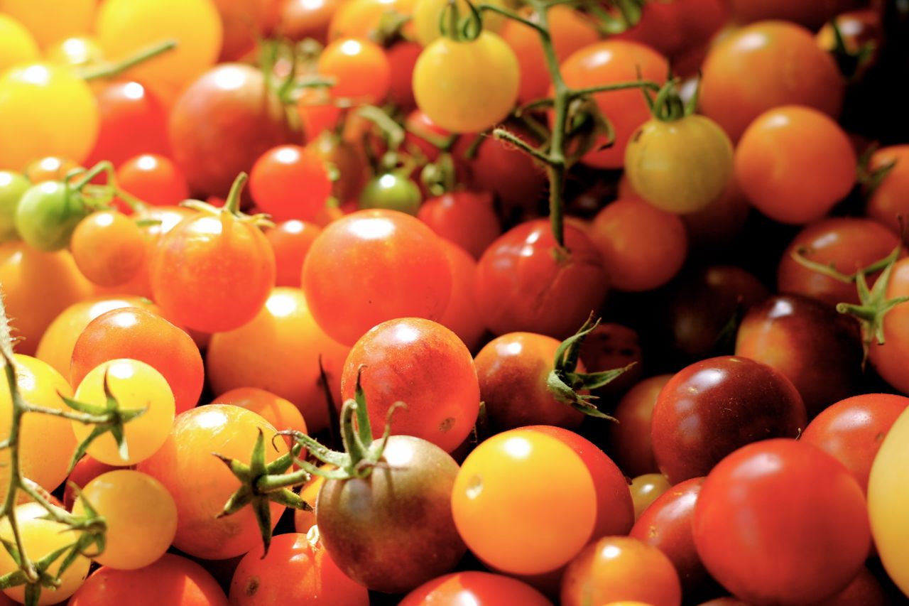 Heirloom Tomatoes seeds: Brandywine, Cherokee Purple, Chocolate Cherry,  Pineapple, and Indigo Rose. We have also ad…