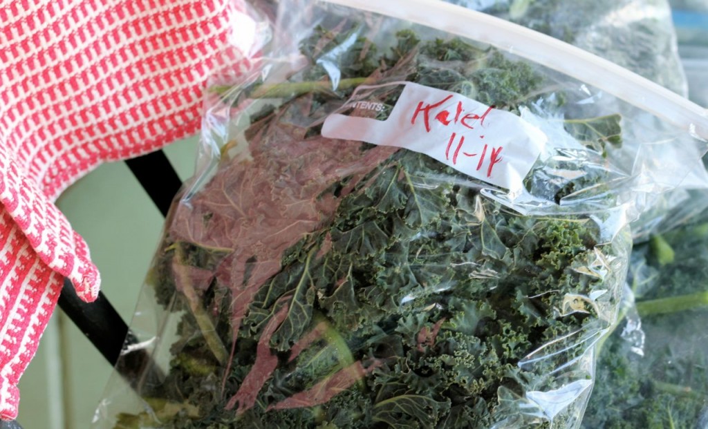 kalebag