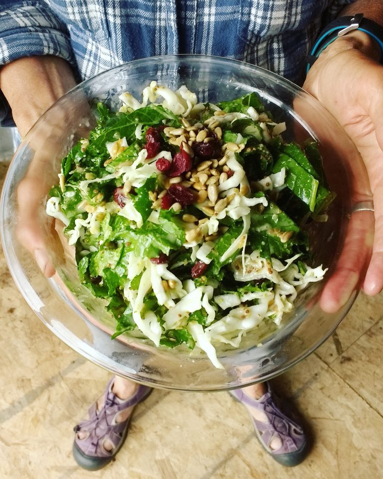 Best Shredded Kale Salad in the Land *recipe* - vomitingchicken.com