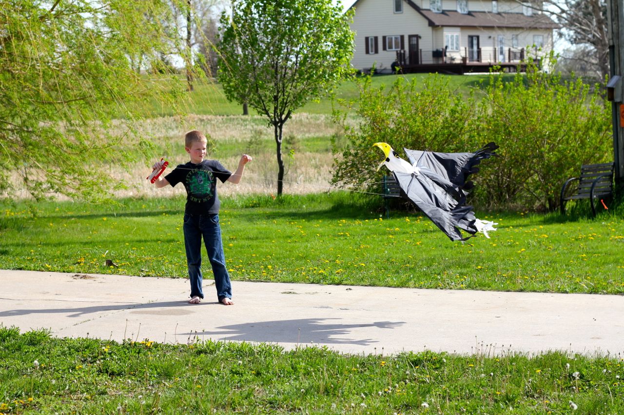 Days that are made for kites.