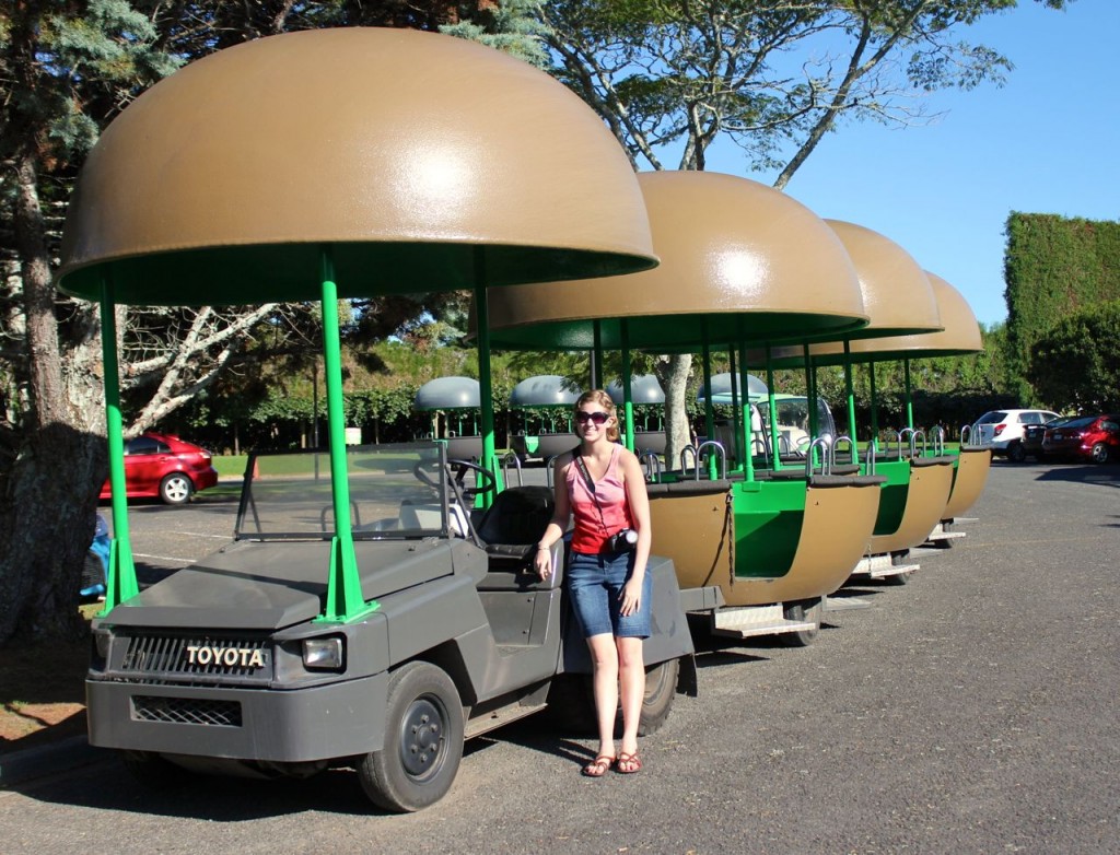 This is the little train that took us around on our tour. Little kiwifruit train: cute, eh?