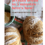 YES you CAN make artisan bread in 5 minutes: here’s how!