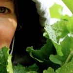 A Fine Kettle of Turnip Greens: How to Freeze ’em, Already!