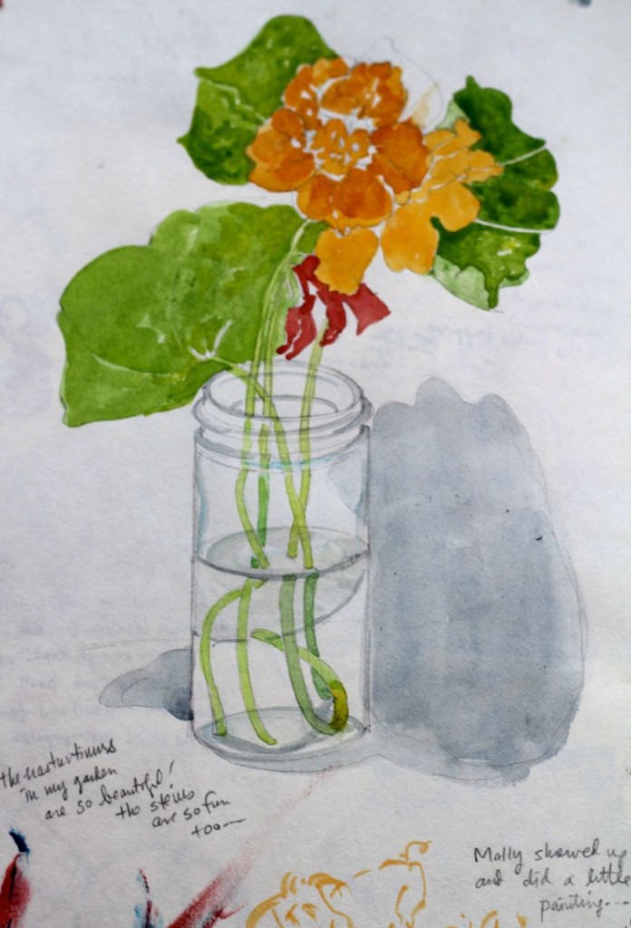 nasturtiums