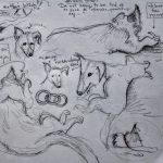 Sketchbook Thursday: drawing the puppy and how to do memory sketches