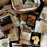 Make your own seed-starting mix: it’s soooo easy!