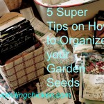5 Super Tips on Organizing Seed Packets: a lovely, necessary chore
