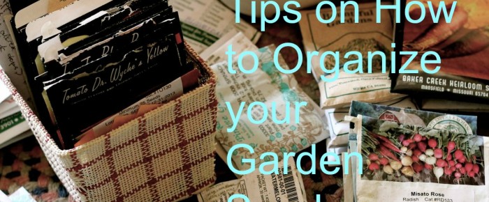 5 Super Tips on Organizing Seed Packets: a lovely, necessary chore