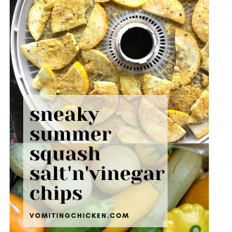 graphic of squash chips with "sneaky summer squash salt'n'vinegar chips on top